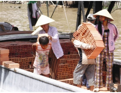 Lao động trẻ em đang gia tăng ảnh 1